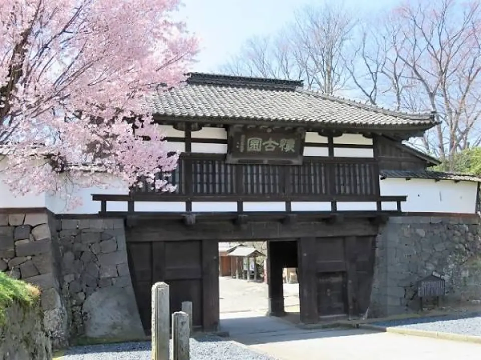 【飯店〉照●白絲瀑布（輕井澤祕境）〉入●小諸城址懷古園(賞櫻百選名所)〉入●西湖合掌村〉照●新富岳百景忍野八海〉富士五湖溫泉區】