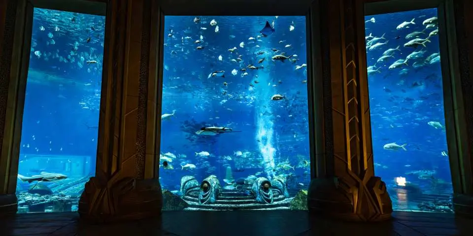 水族館