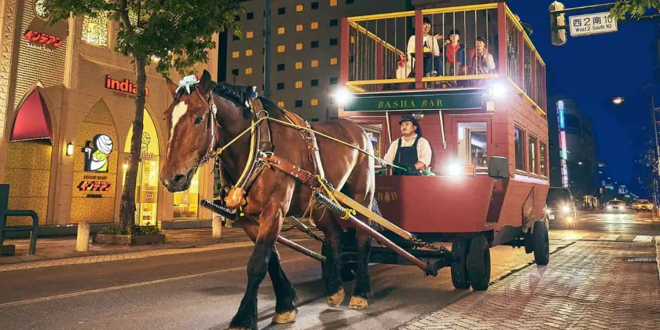 【飯店〉阿寒湖遊船+綠球藻展示中心〉照●池田葡萄酒釀造所〉贈送冰淇淋〉照●幸福車站(加贈明信片、幸福鑰匙圈)〉帶廣馬車BAR〉帶廣市區飯店】