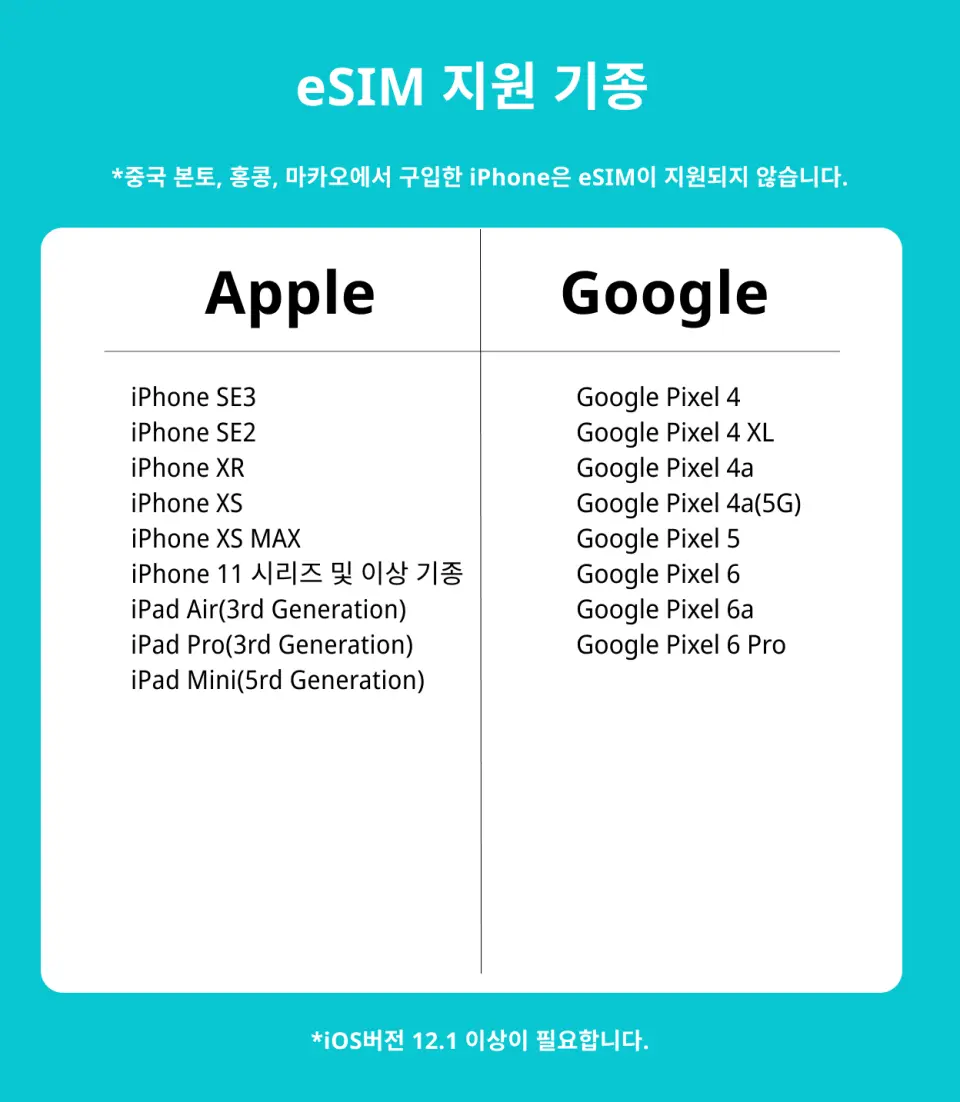 eSIM 호환 모델