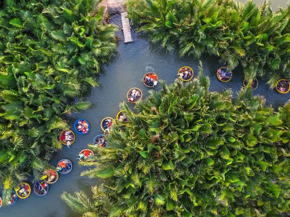Basket Boat Experience at Coconut Forest Arrive at Cam Thanh Coconut Forest and enjoy a fun and unique ride on a traditional basket boat.