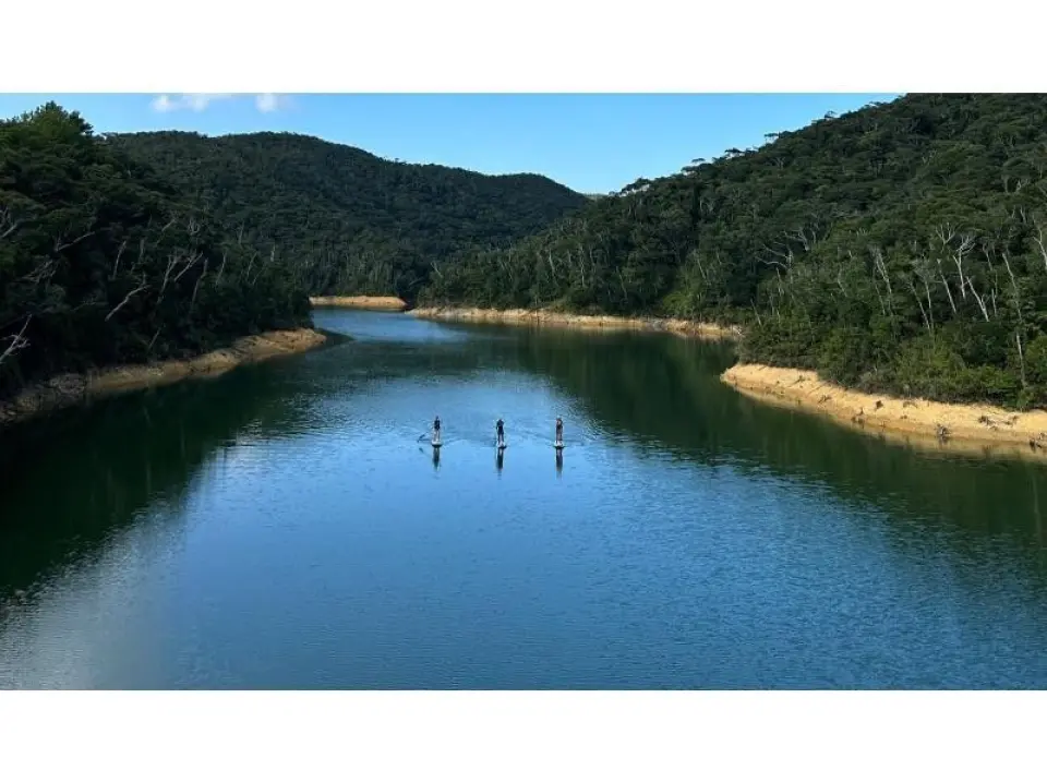 Yanbaru Forest, a World Natural Heritage Site