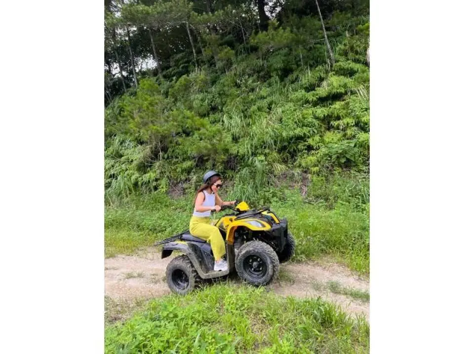 崎嶇的道路