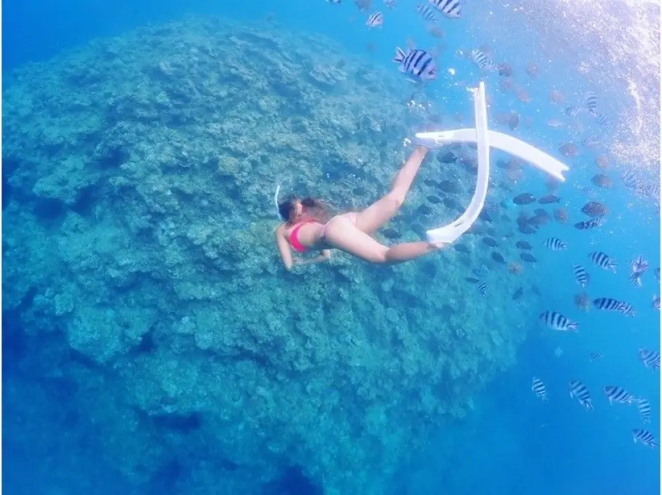 Beginners are welcome!