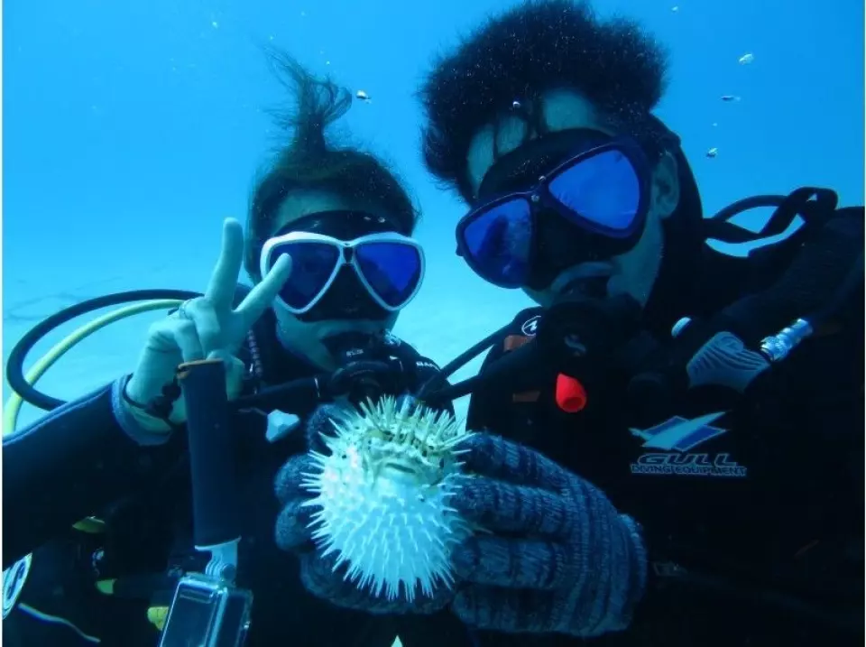 ① Meet at the port, check in and change clothes (10 minutes)
② Board the boat, and get an explanation about the boat and diving (20 minutes)
③ Depart (40 minutes)
④ After arrival, do two dives at two sites (90 minutes)
⑤ Lunch on board (40 minutes)
⑥ Relax and take a break at the third site or do an additional dive (40 minutes)
⑦ Return to port and disband (40 minutes)