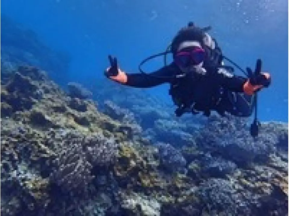 Once you get your license, you can enjoy fun diving in oceans all over the world!