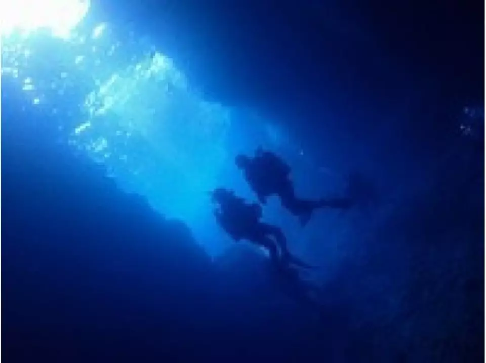 We will show you the best beach of the day!!!