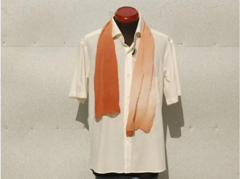 Plant dyeing example 4