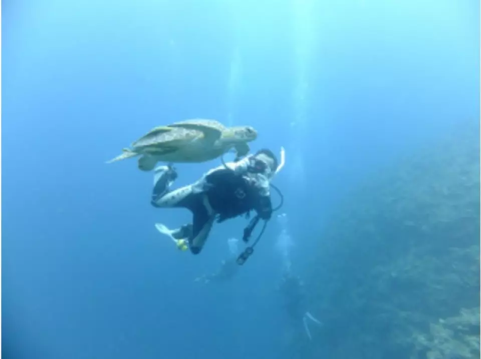 You might even encounter turtles!