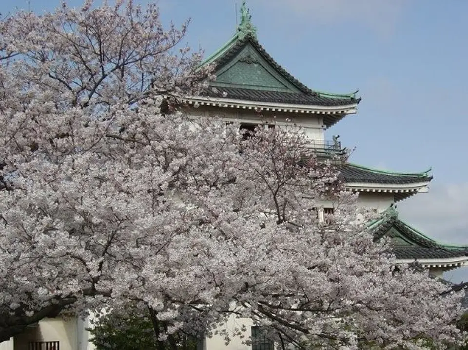 【桃園／關西機場〉入●和歌山城〉入●紀三井寺】