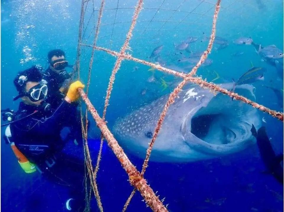海の生き物ともハイチーズ♪