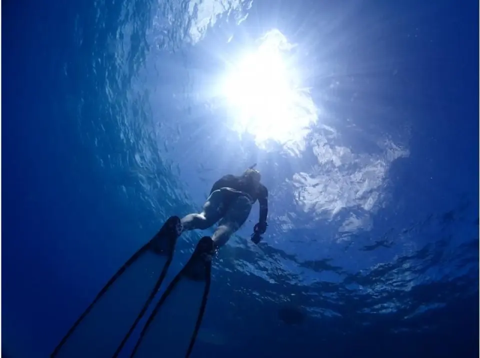 If you want to go skin diving on Okinawa Island