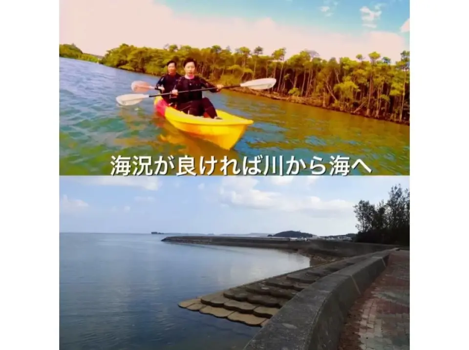 生態観察