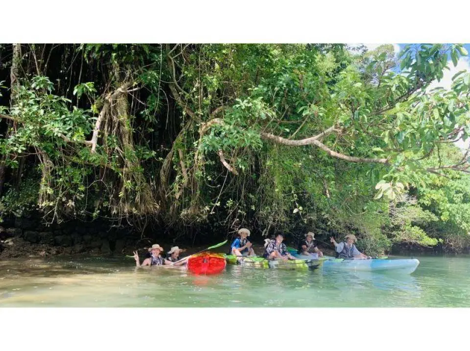 記念写真の撮影。木陰で記念撮影！　旅の思い出に