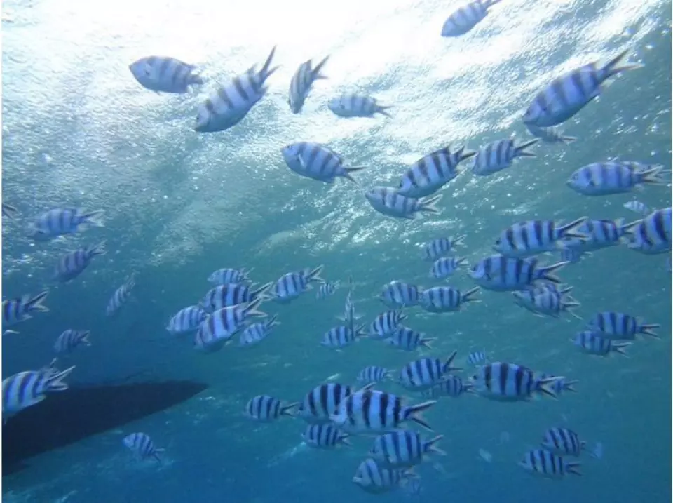 แม้แต่สำหรับผู้ที่มาเยือนครั้งแรก!