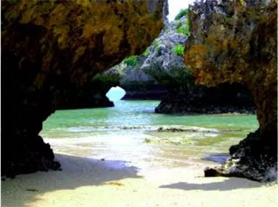 We'll take you to a private beach!