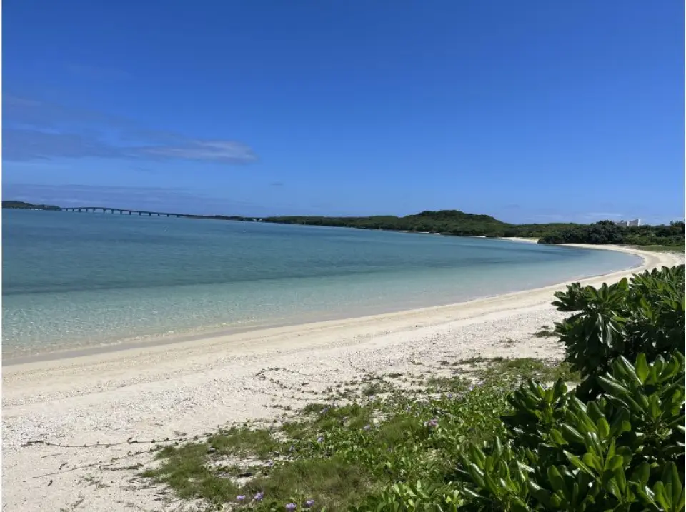Beach scenery
