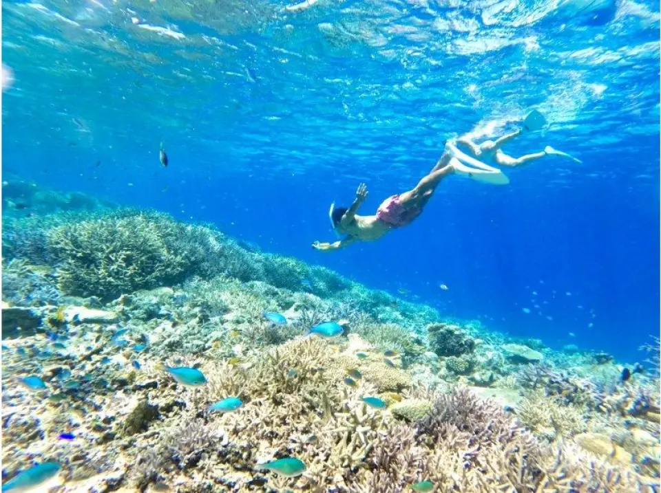 A natural aquarium!