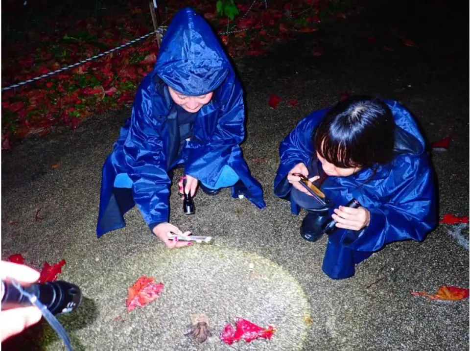 雨の日でも楽しめる！