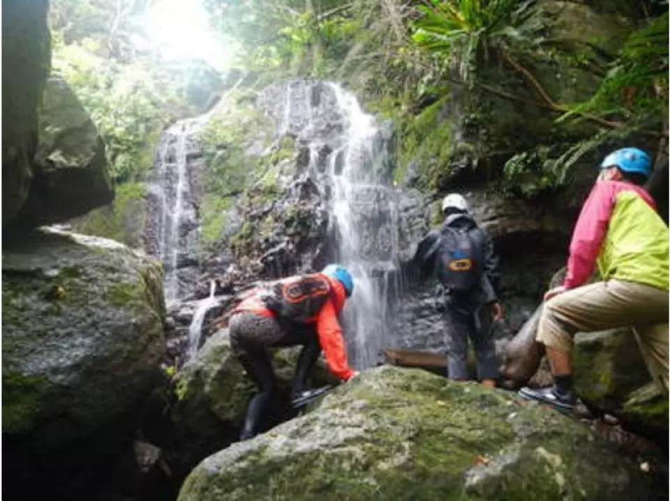 เพลิดเพลินกับการสตรีมในแบบของคุณ หรือจะร่วมกิจกรรมก็ได้