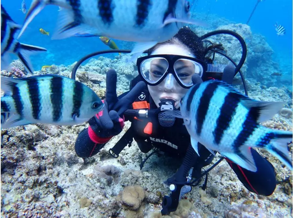 ダイビング開始。ケラマブルーの青さと透明度の高さ！
圧倒的なサンゴ！色とりどりなお魚と戯れ下さい！
餌付け体験も無料サービス！