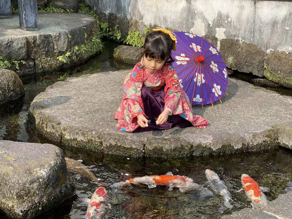 세련된 의상을 입고 시마바라시의 무사 저택 거리를 거닐어 보세요. 사진 찍기에 더할 나위 없이 좋습니다.
