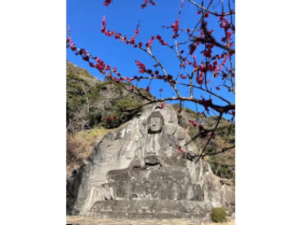 大仏広場。日本最大の磨崖仏「薬師如来瑠璃光」という大仏様です。こちらの広場でトイレ休憩をします。