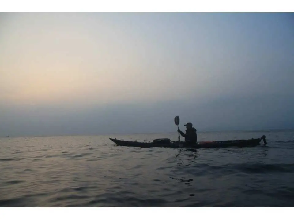 Afternoon kayak tour