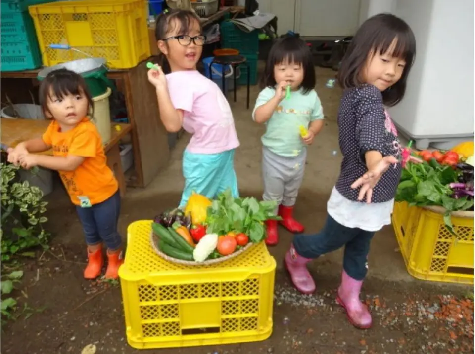 Fun vegetable harvesting experience ☆