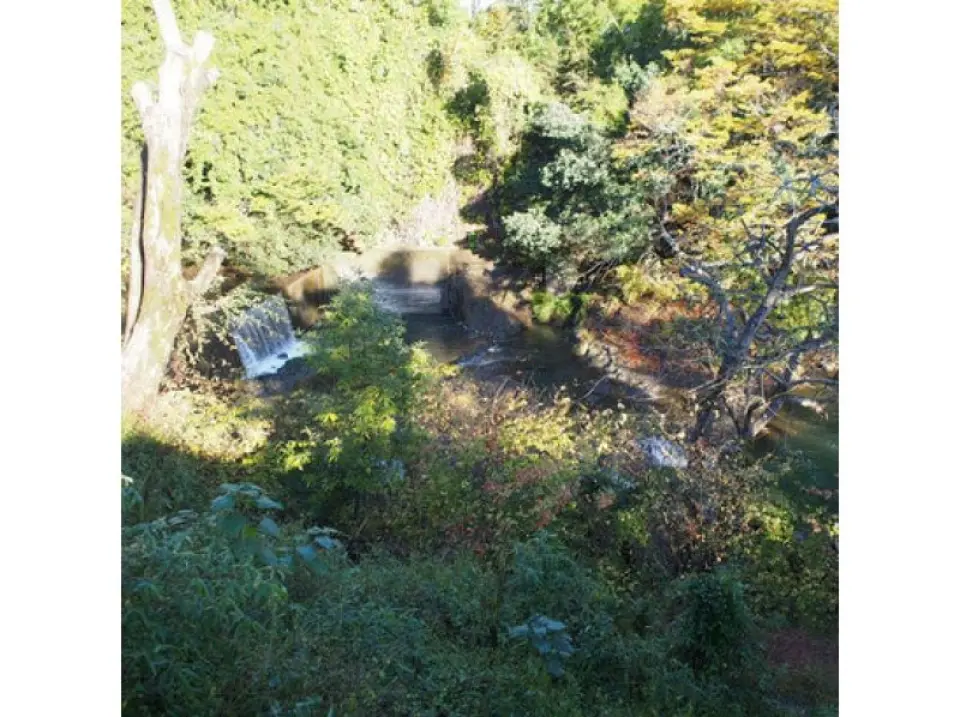 Relax in nature