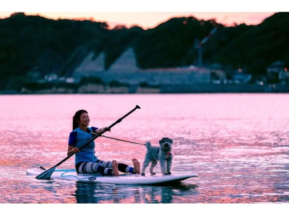 With your dog