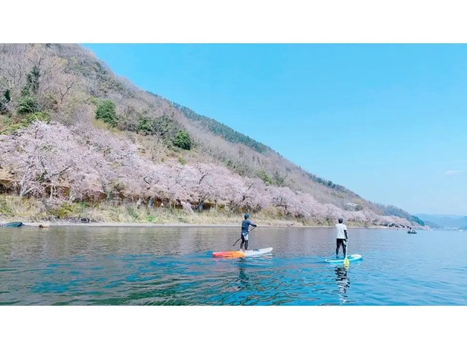 まったり桜鑑賞。この絶景を最高の
ロケーションから見れる幸せ