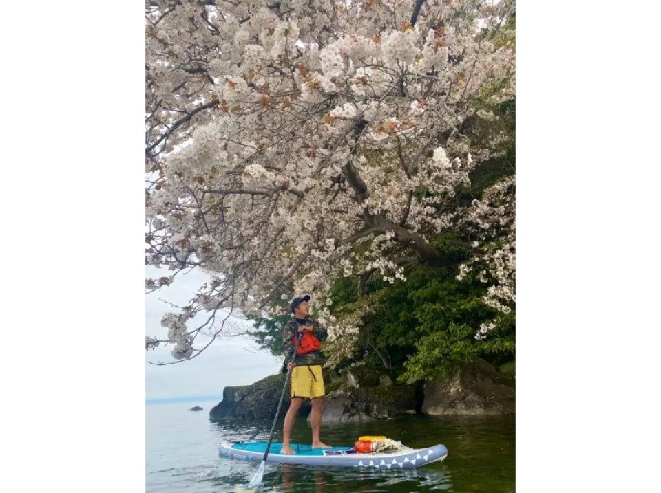 从湖上看到的景色