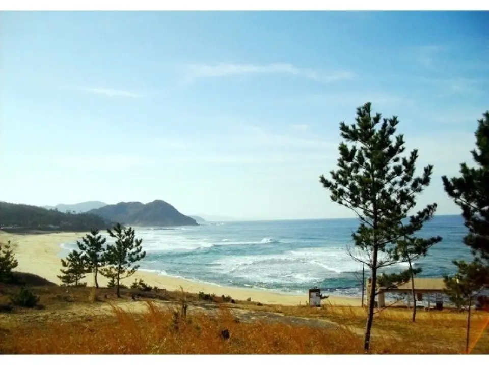 Kotohikihama is a beautiful beach with white sand and green pines that represents the Sea of ​​Japan. After experiencing the singing sand, be sure to try some crafts!