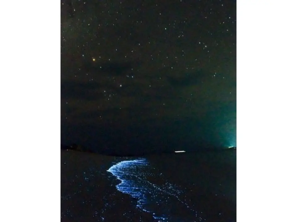 即使在陰天，你也能看到發光的夜光蟲跟隨槳的尾跡遊動。