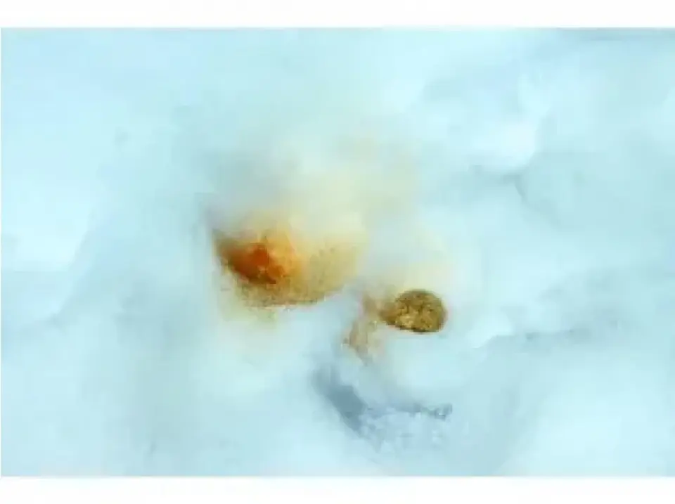 Traces of animals too!?
