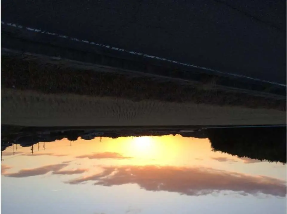 dawn