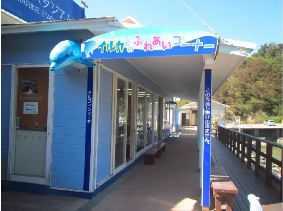 館内の「ドルフィンビーチカウンター」までお越しください！