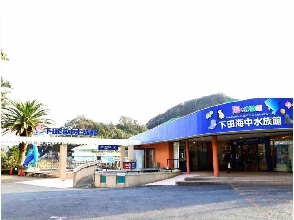 体験場所は下田海中水族館！