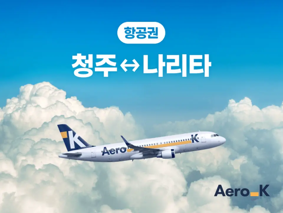 Airline tickets