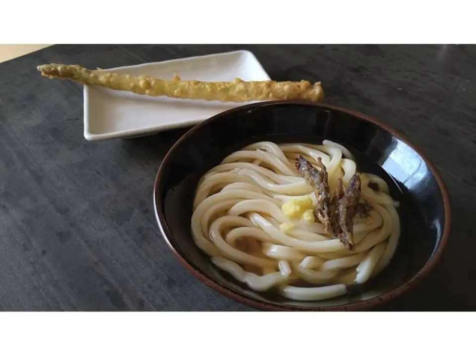 さぬきのめざめを香川ならではの讃岐うどんで食べる