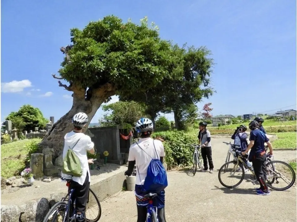 Explore daily life on the island with a guide