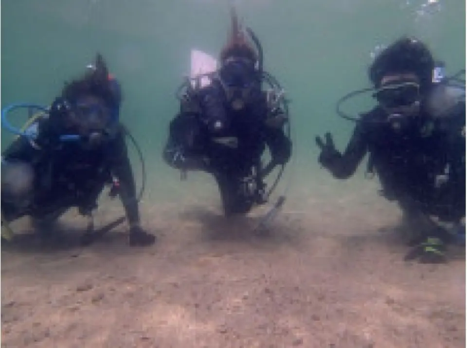 The first dive.