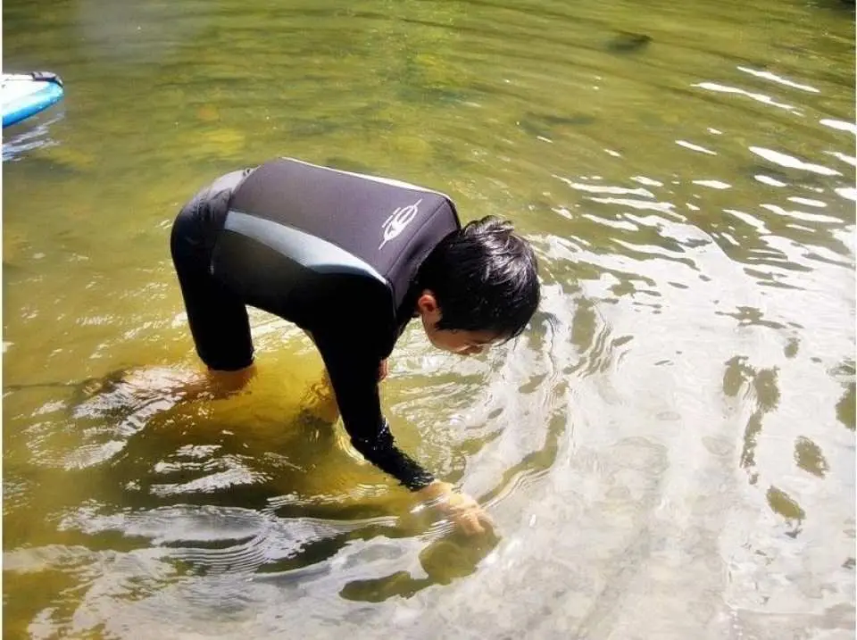 平らな石を見つけて水切り!