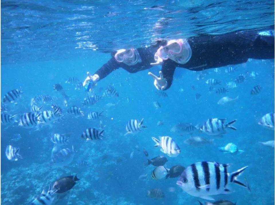 Emerging from the cave and encountering colorful fish!