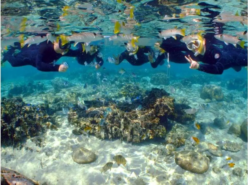 キュートな魚達