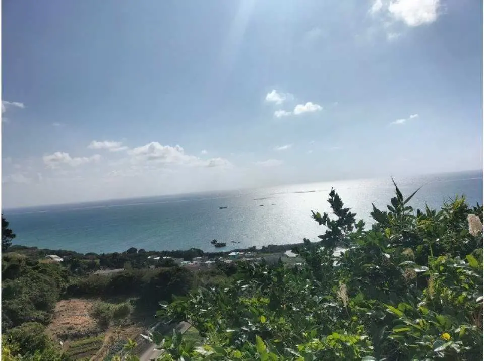 The setting is a field with a panoramic view of the ocean