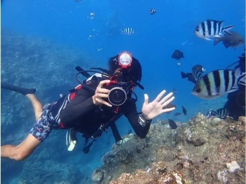 GoPro水中カスタムカメラ撮影