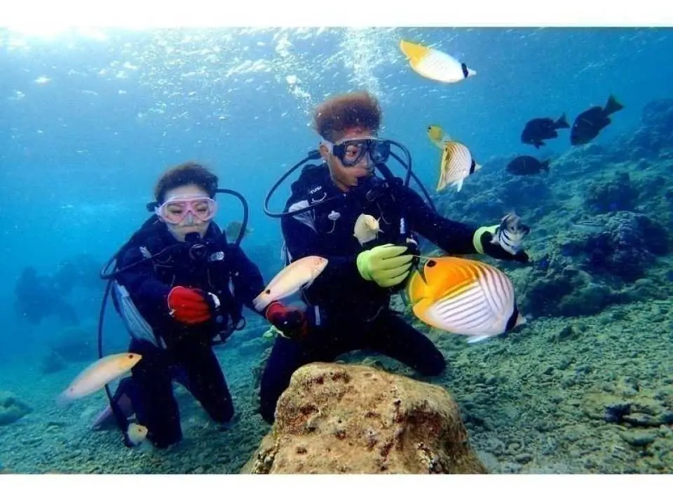 熱帯魚餌付け体験付き