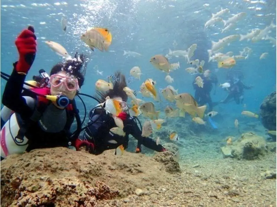 熱帯魚に餌付けを楽しみましょう。。カラフルな熱帯魚に囲まれて写真撮影♪海の生物をいっぱい観察しましょう。